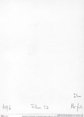 Historisches Foto (Rückseite) von Munitheites kuepperi (Fraaije et al., 2019) (NHMW-AFW-GEO-BACHMAYER-FOTO-1990-0041-0496)